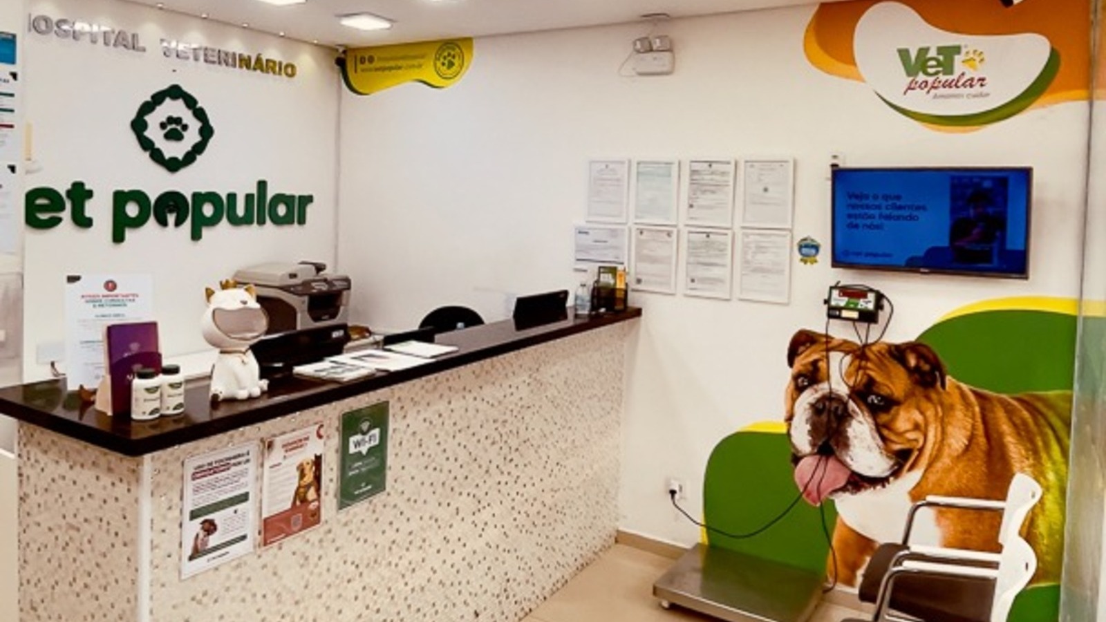 Intoxicacao Em Pets Principais Causas Dentro De Casa E Como Evitar