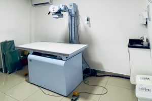 Tecnologia Na Medicina Veterinaria Em Hospitais Modernos 300x200